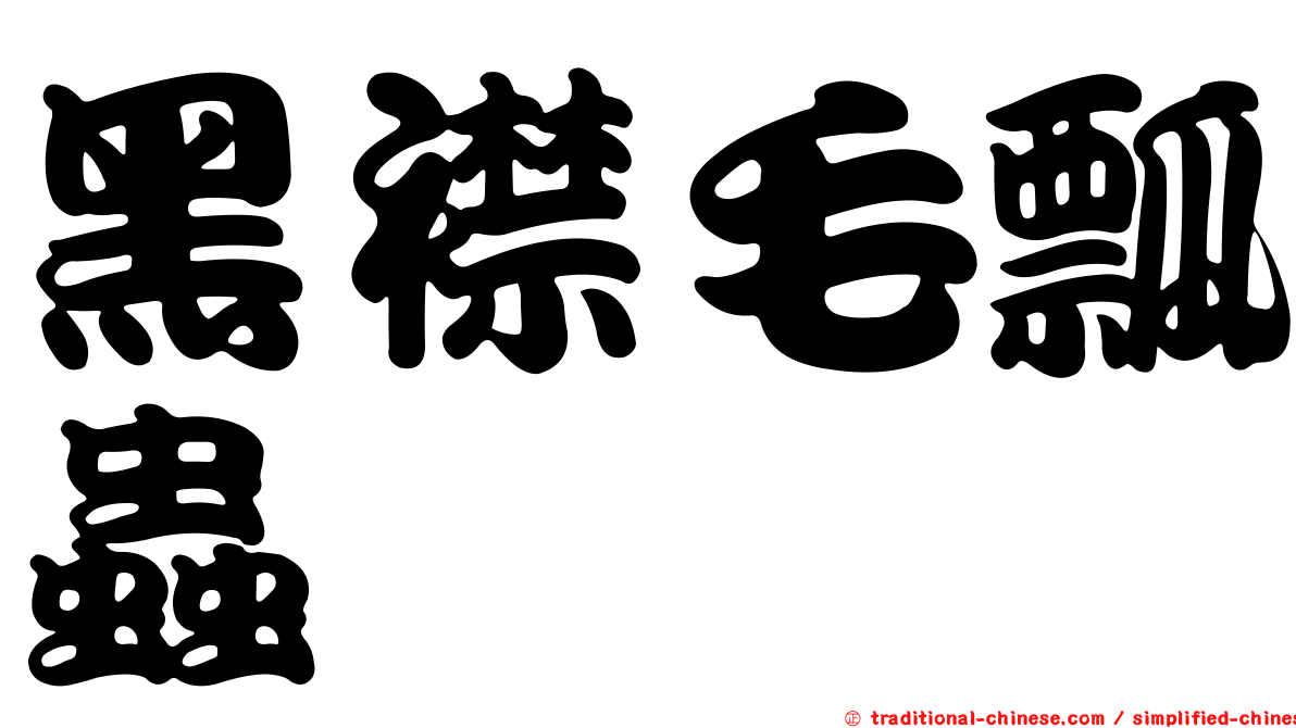 黑襟毛瓢蟲
