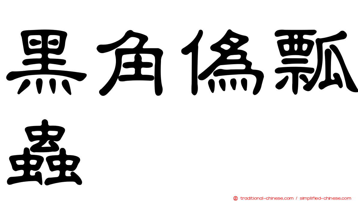黑角偽瓢蟲