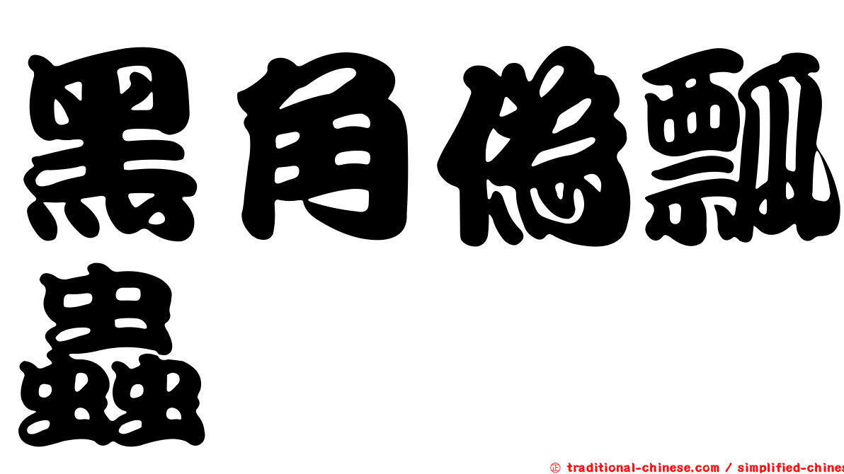 黑角偽瓢蟲