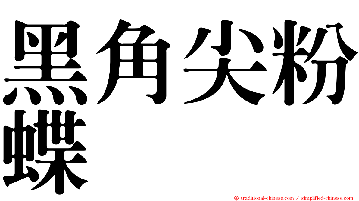 黑角尖粉蝶