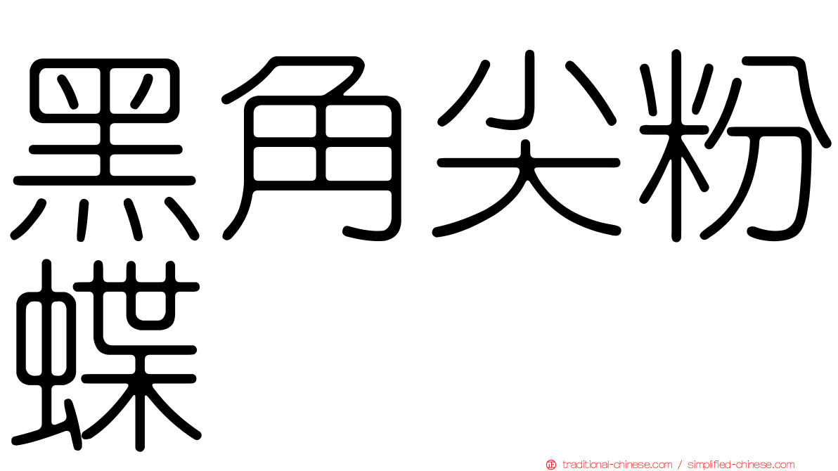黑角尖粉蝶