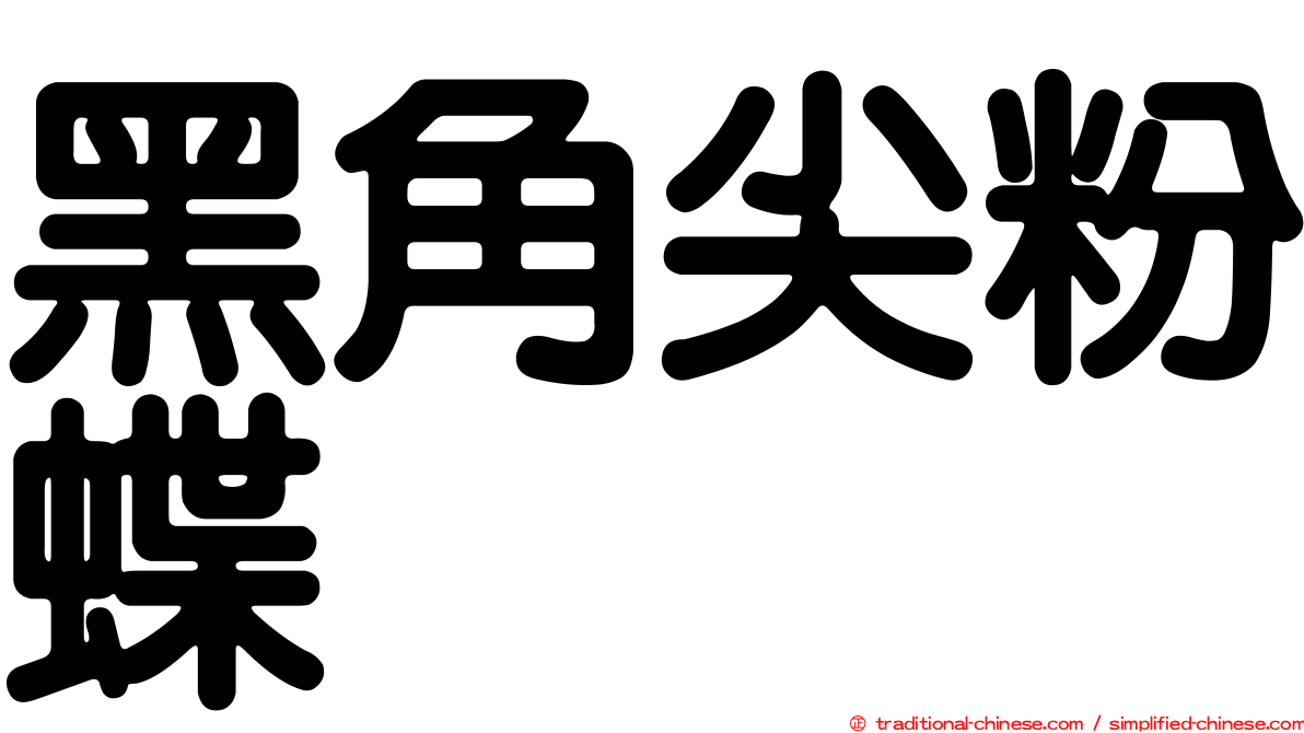 黑角尖粉蝶