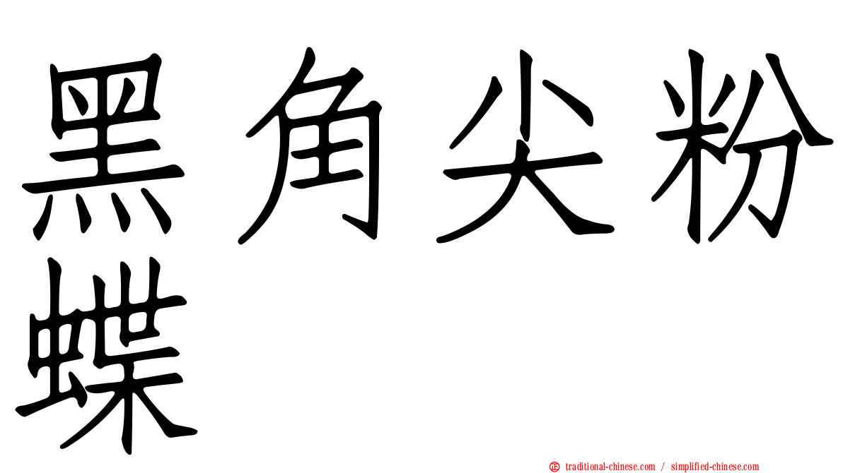 黑角尖粉蝶