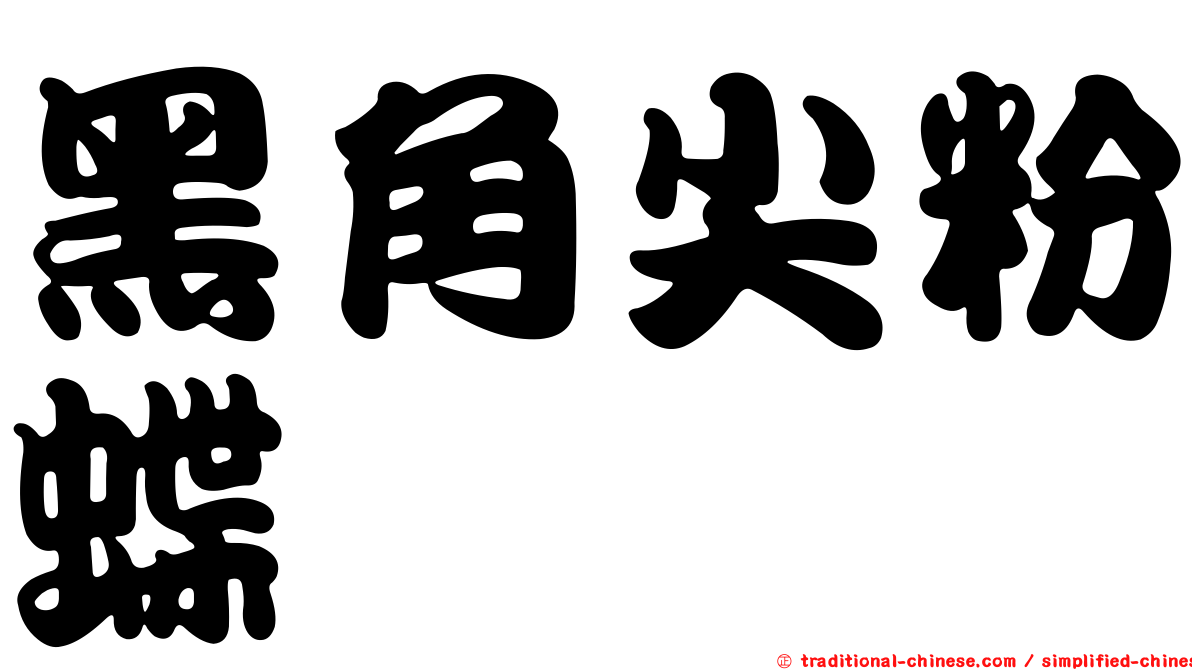 黑角尖粉蝶
