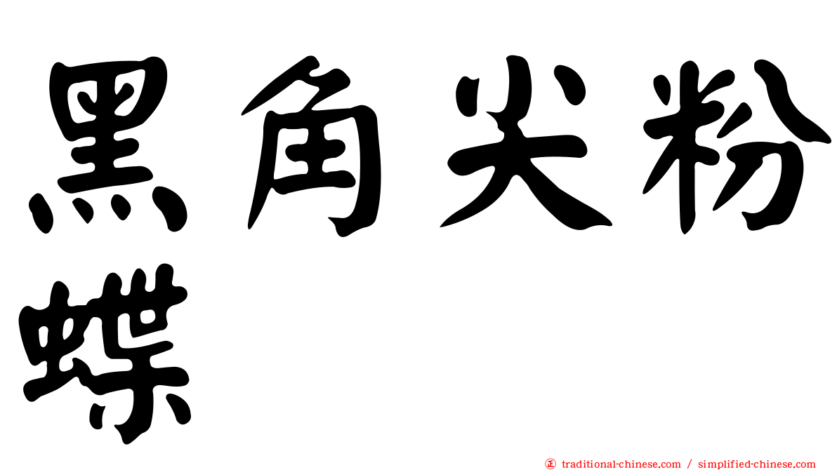 黑角尖粉蝶