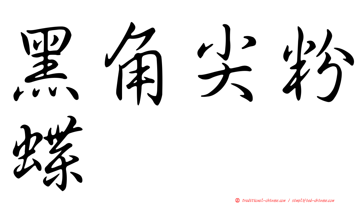 黑角尖粉蝶