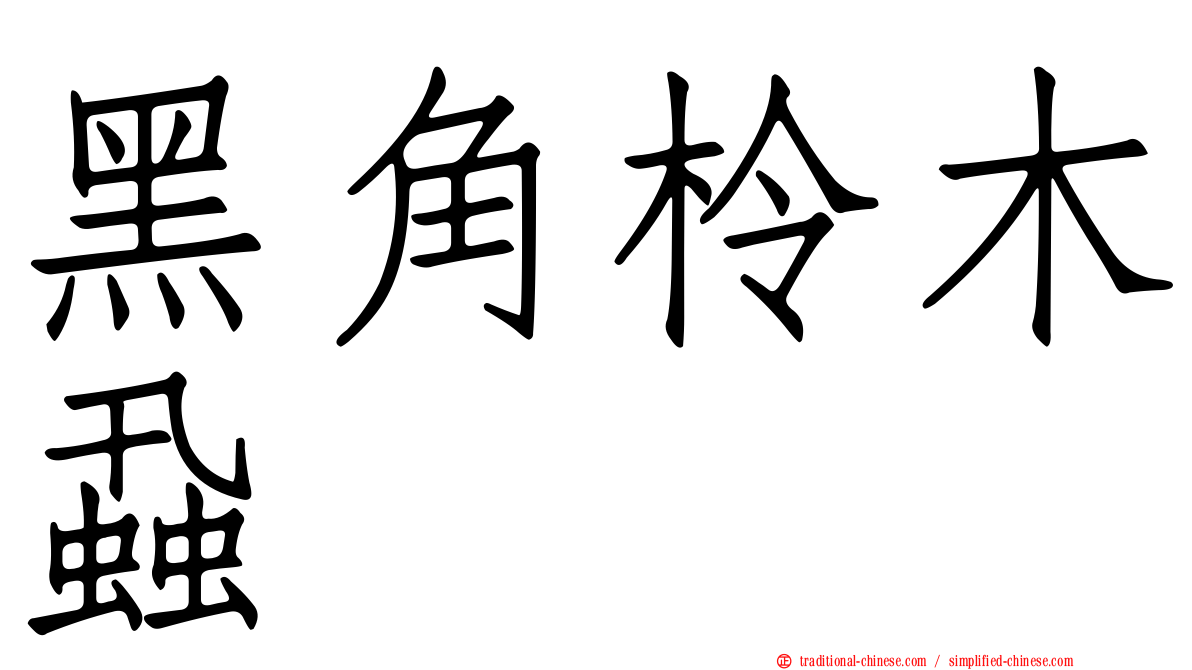黑角柃木蝨