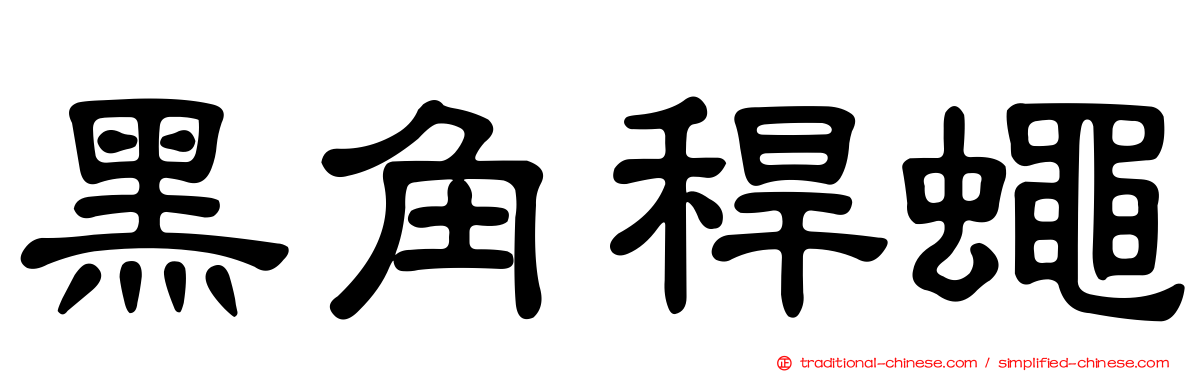 黑角稈蠅