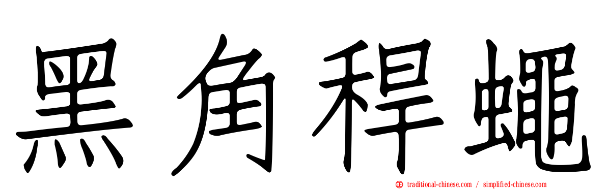 黑角稈蠅