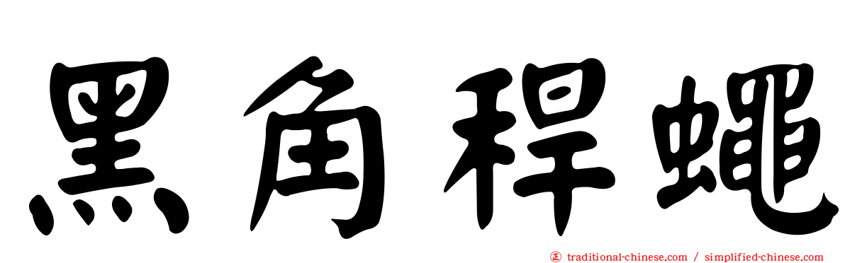 黑角稈蠅