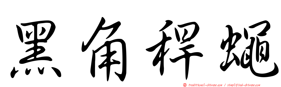 黑角稈蠅