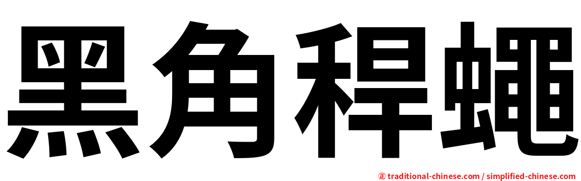 黑角稈蠅