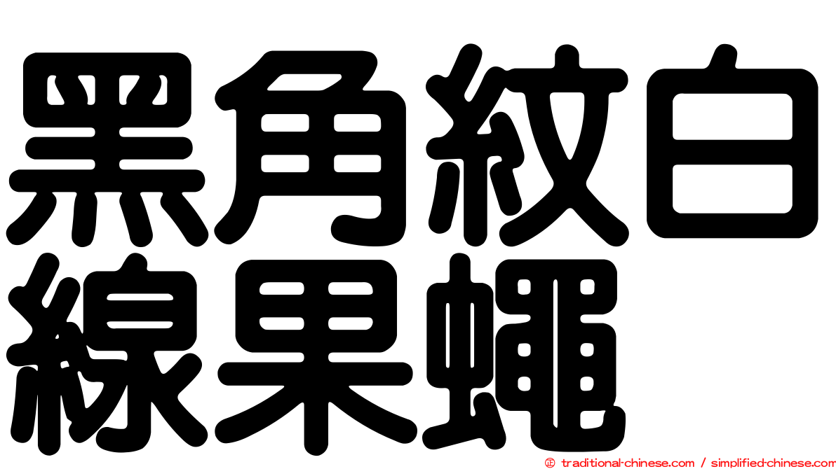 黑角紋白線果蠅
