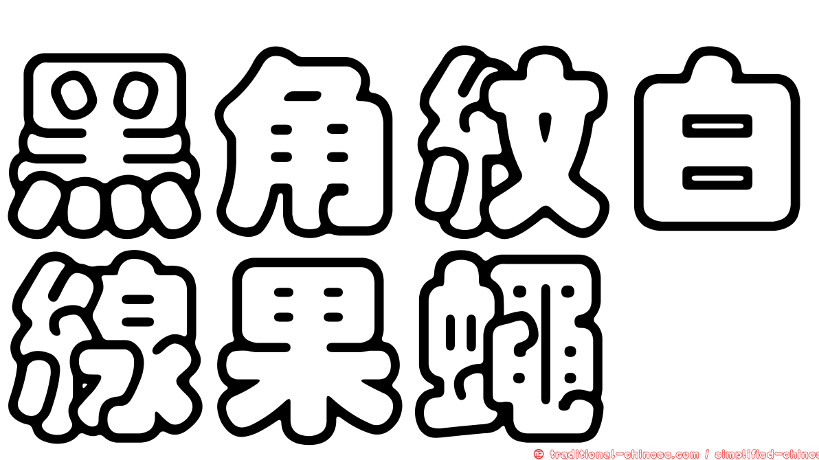 黑角紋白線果蠅