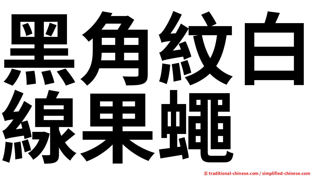 黑角紋白線果蠅