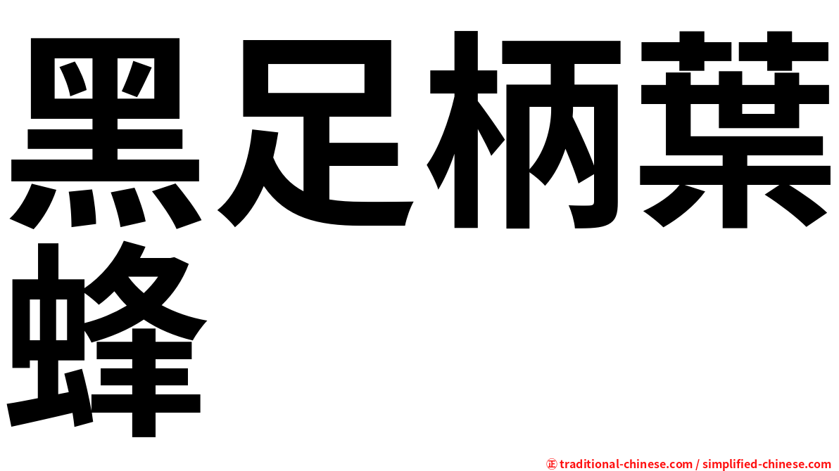 黑足柄葉蜂