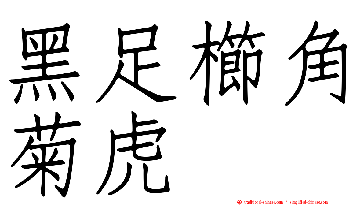 黑足櫛角菊虎
