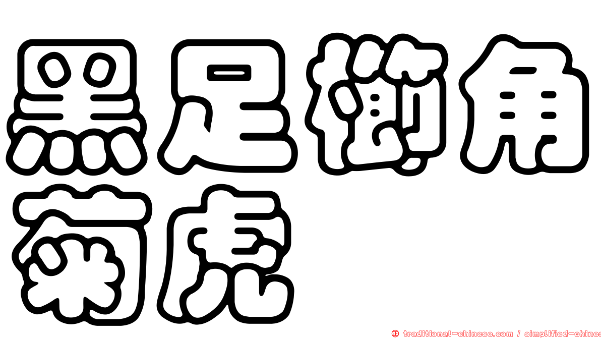 黑足櫛角菊虎