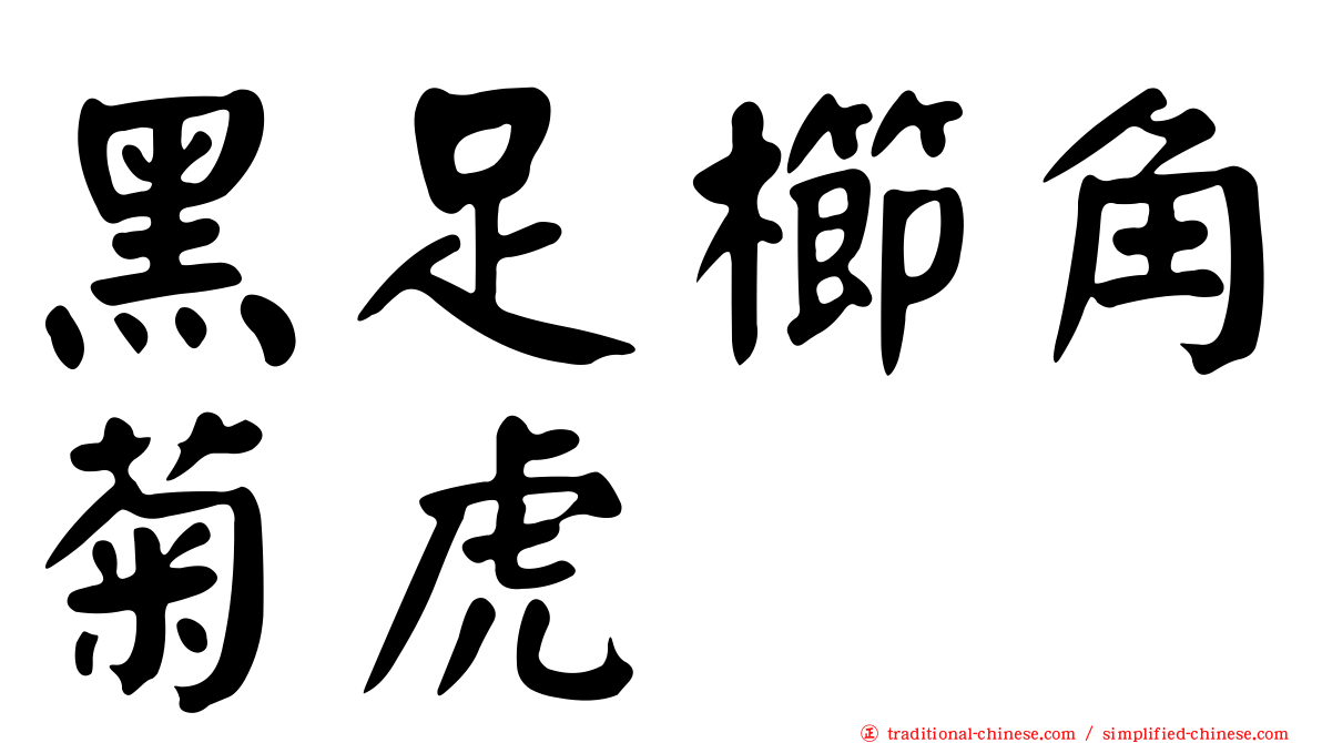 黑足櫛角菊虎