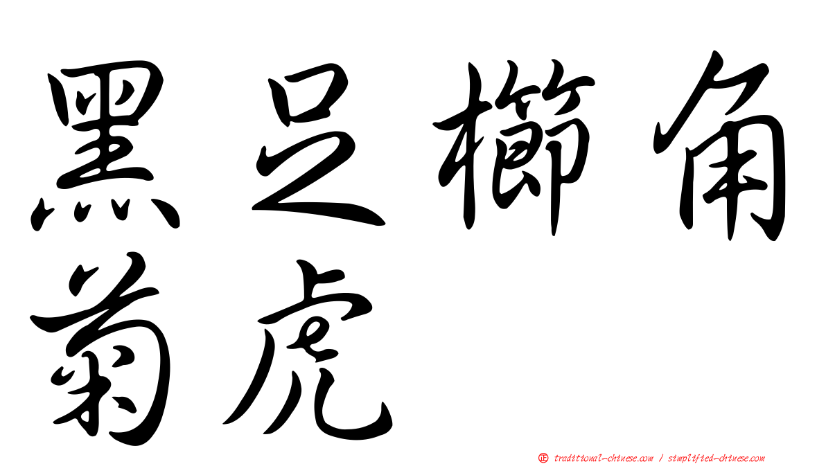 黑足櫛角菊虎