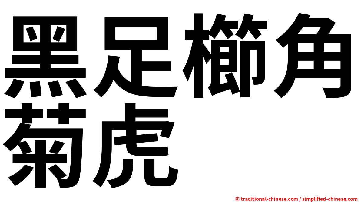 黑足櫛角菊虎