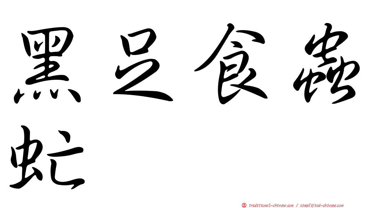 黑足食蟲虻