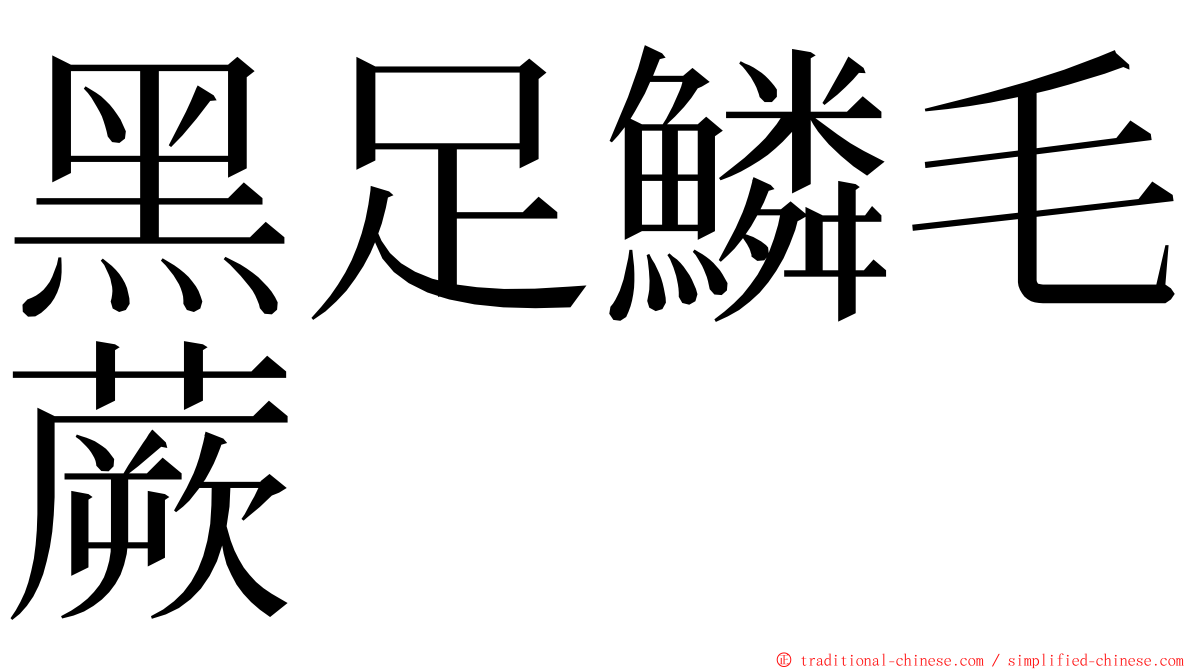 黑足鱗毛蕨 ming font