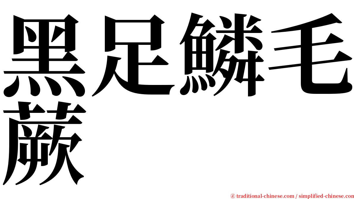 黑足鱗毛蕨 serif font