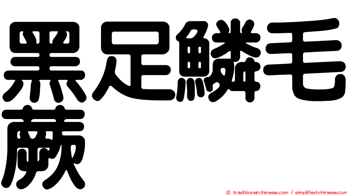 黑足鱗毛蕨