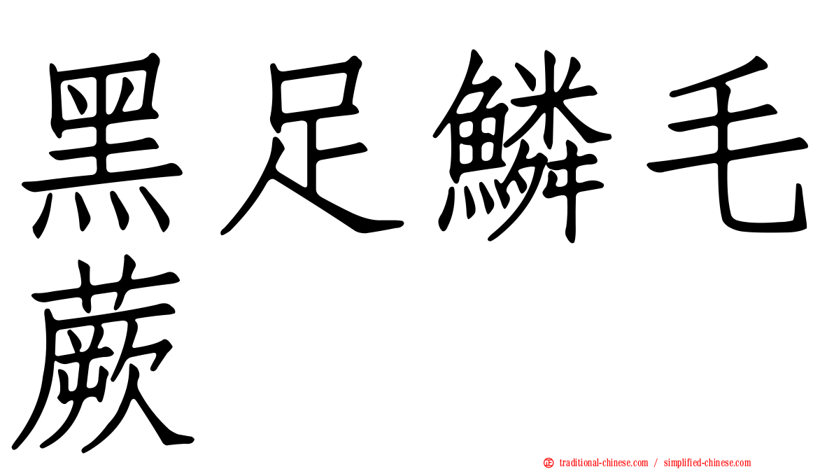 黑足鱗毛蕨