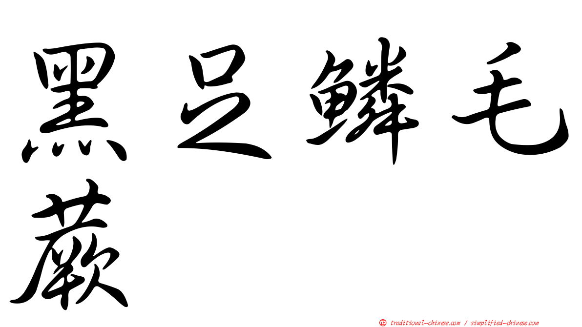 黑足鱗毛蕨