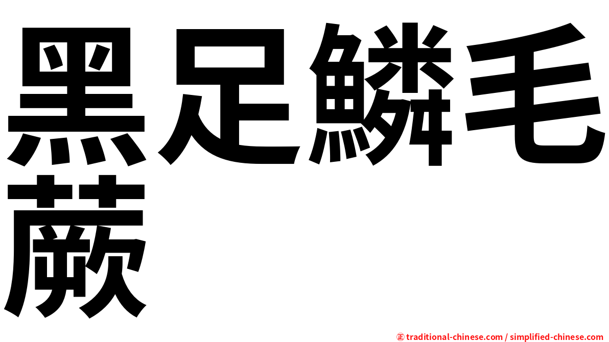 黑足鱗毛蕨