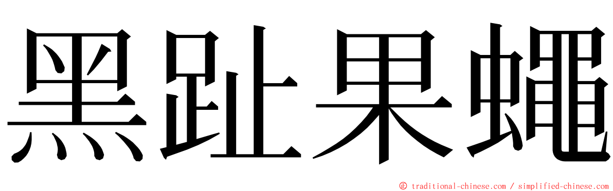 黑趾果蠅 ming font