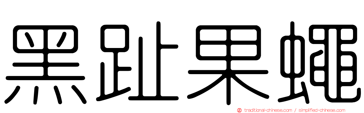 黑趾果蠅