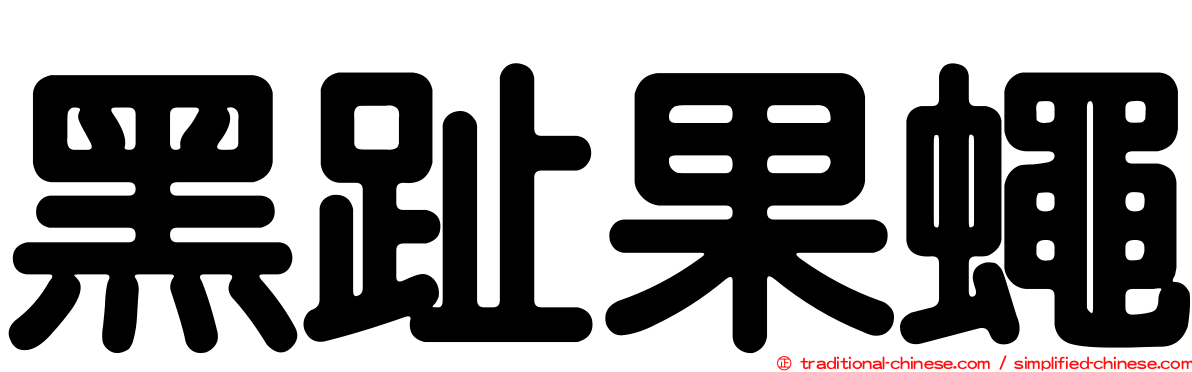 黑趾果蠅