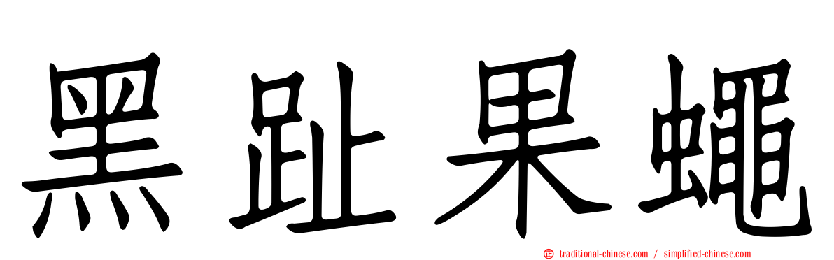 黑趾果蠅