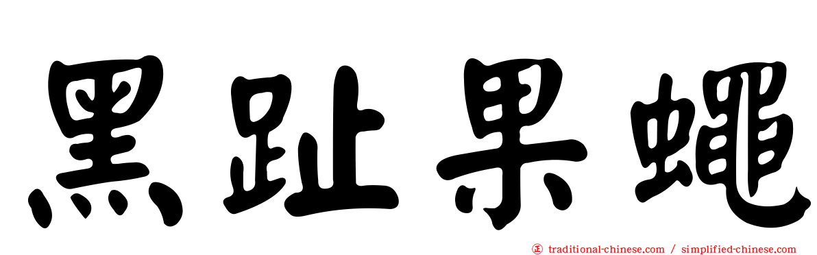 黑趾果蠅