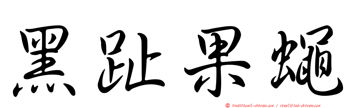 黑趾果蠅