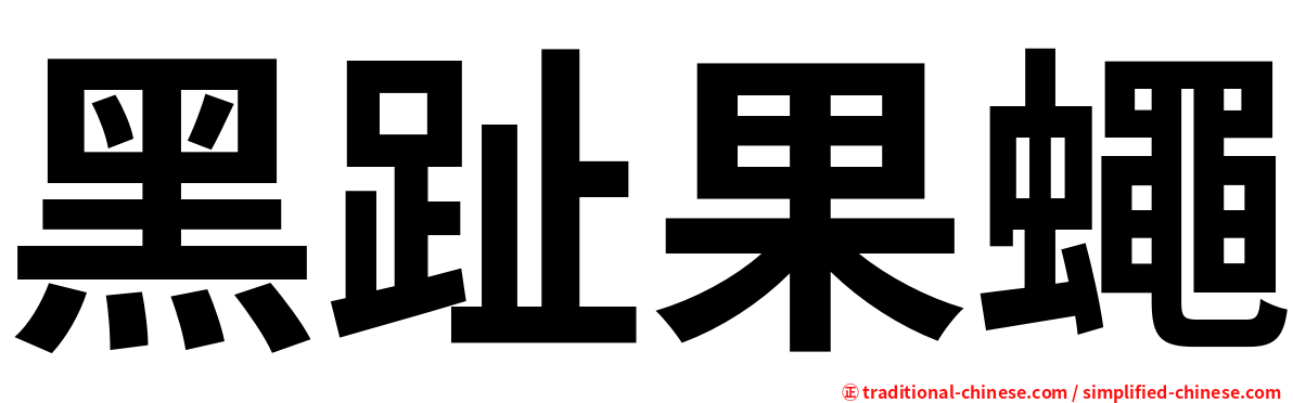 黑趾果蠅