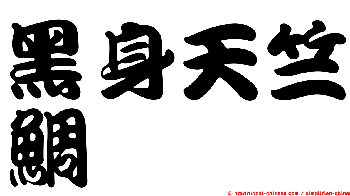 黑身天竺鯛