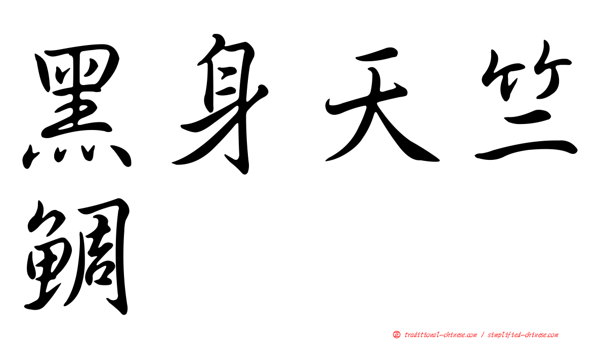 黑身天竺鯛
