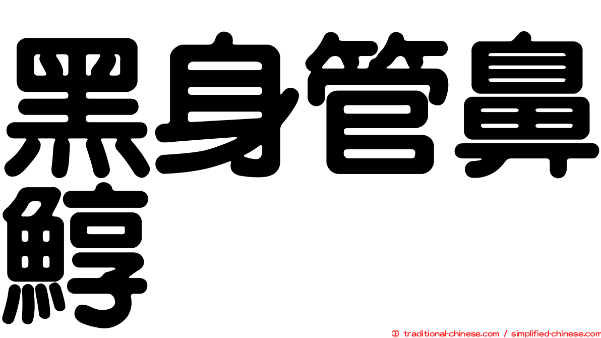黑身管鼻鯙