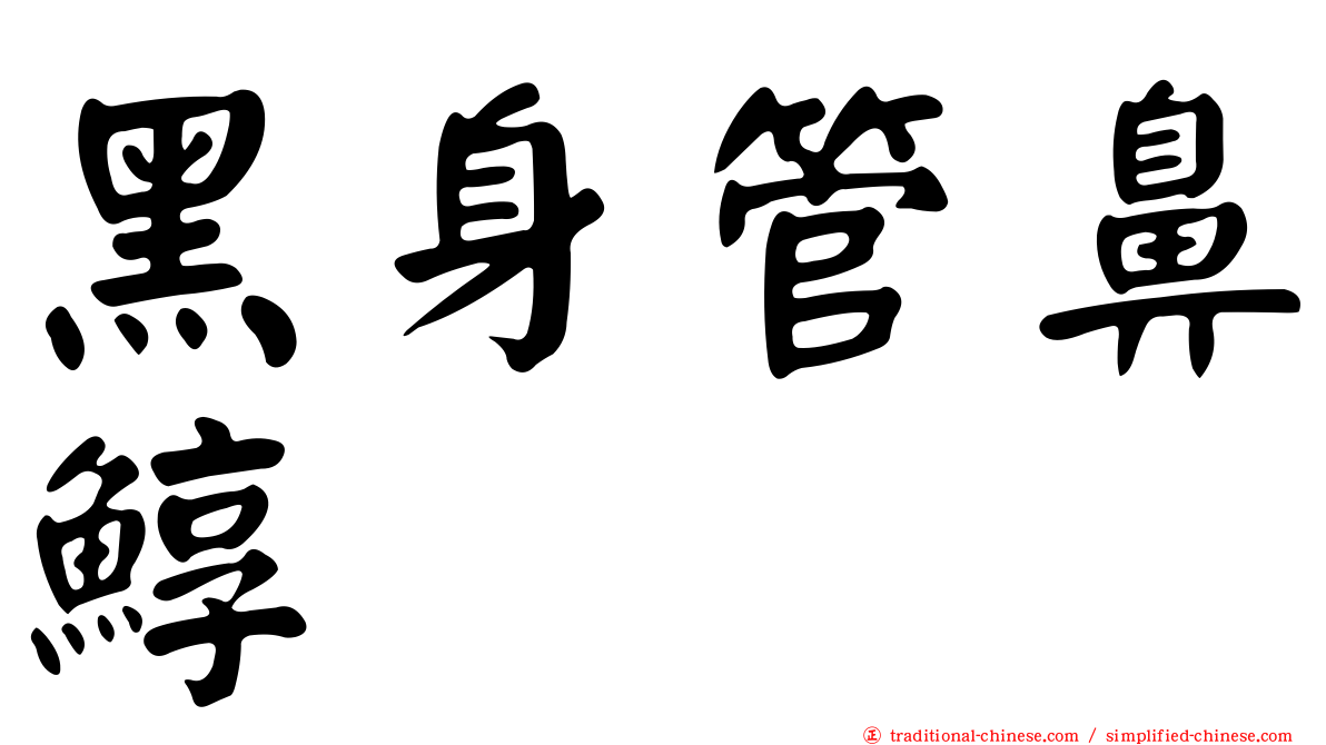 黑身管鼻鯙