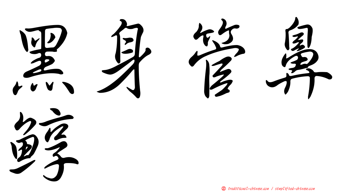 黑身管鼻鯙