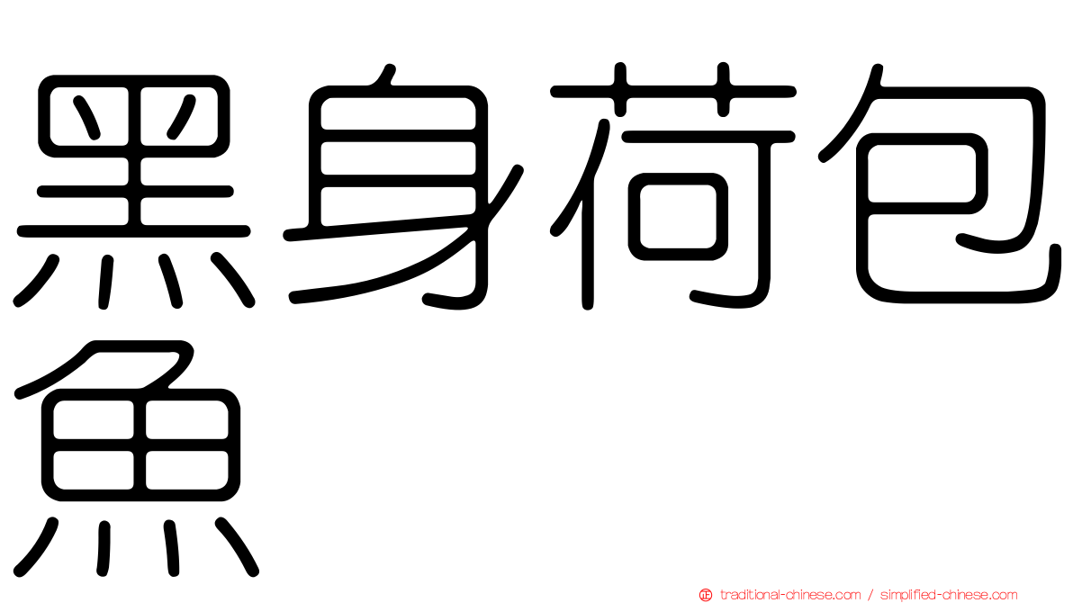 黑身荷包魚