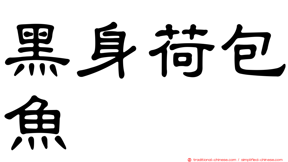 黑身荷包魚