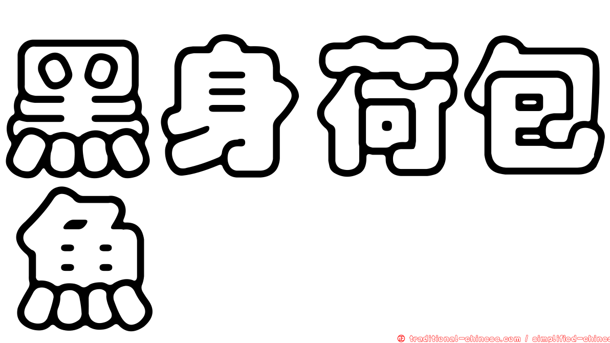 黑身荷包魚