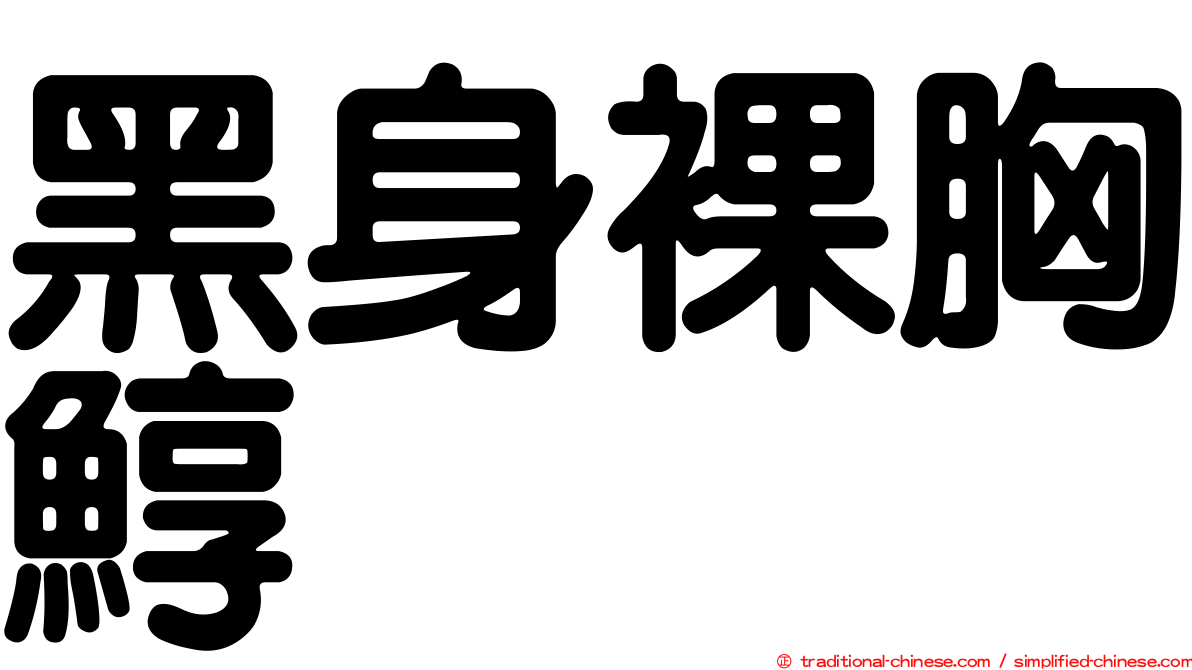 黑身裸胸鯙