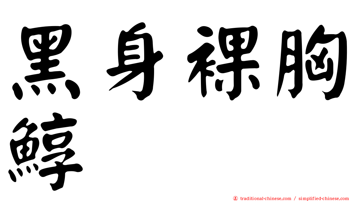 黑身裸胸鯙