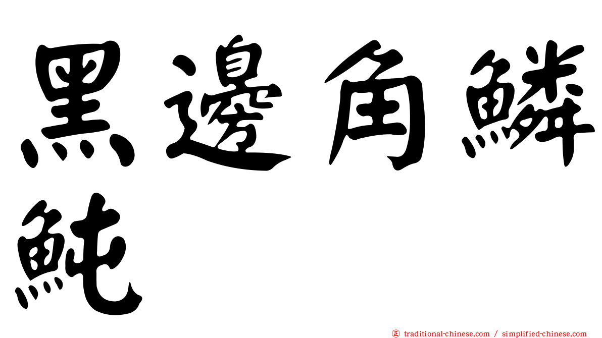 黑邊角鱗魨